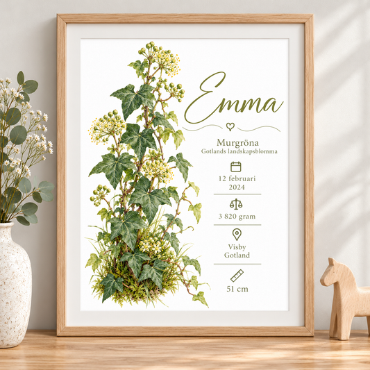 Födelsetavla med murgröna, Gotlands landskapsblomma, i ekmönstrad ram