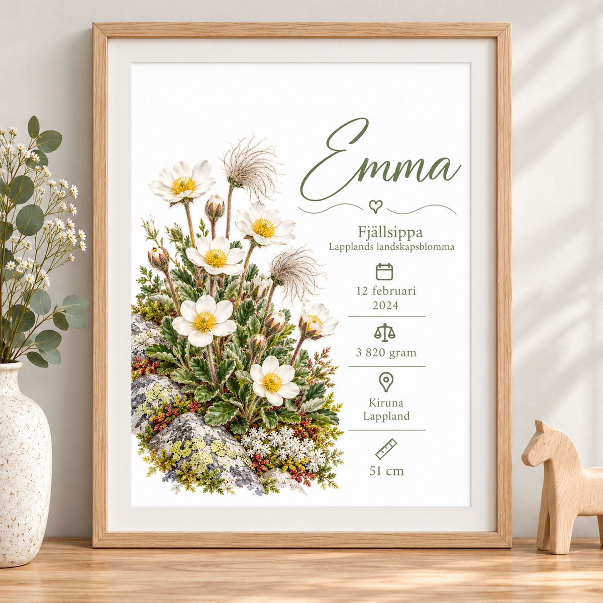 Födelsetavla med fjällsippa, Lapplands landskapsblomma, i ekmönstrad ram