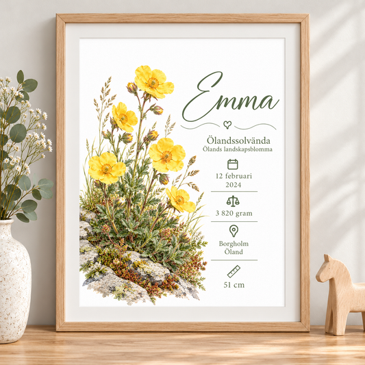 Födelsetavla med ölandssolvända, Ölands landskapsblomma, i ekmönstrad ram