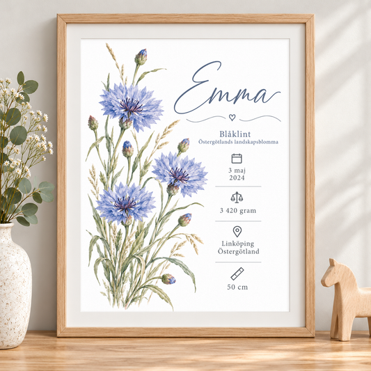 Födelsetavla med blåklint, Östergötlands landskapsblomma, i ekmönstrad ram