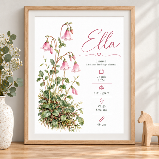 Födelsetavla med linnea, Smålands landskapsblomma, i ekmönstrad ram